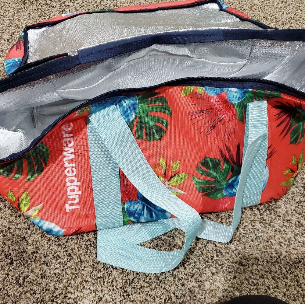 Collapsible cooler bag